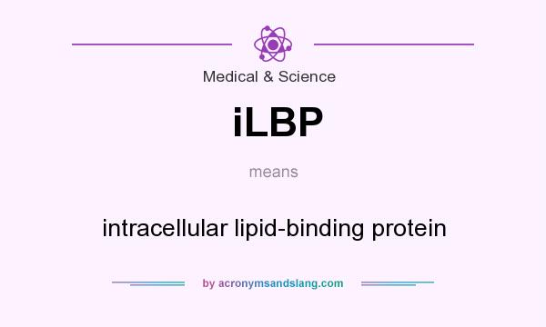 What does iLBP mean? It stands for intracellular lipid-binding protein
