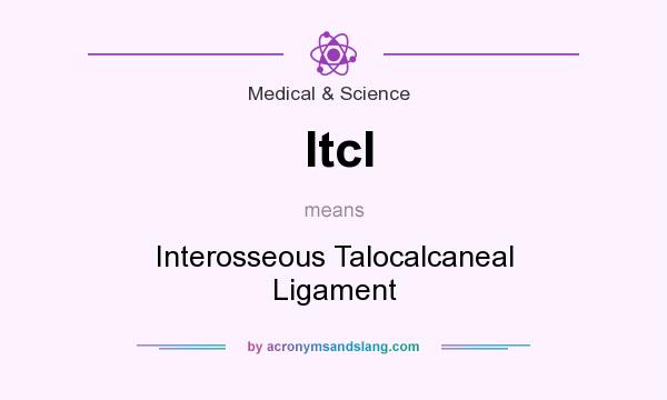 What does Itcl mean? It stands for Interosseous Talocalcaneal Ligament