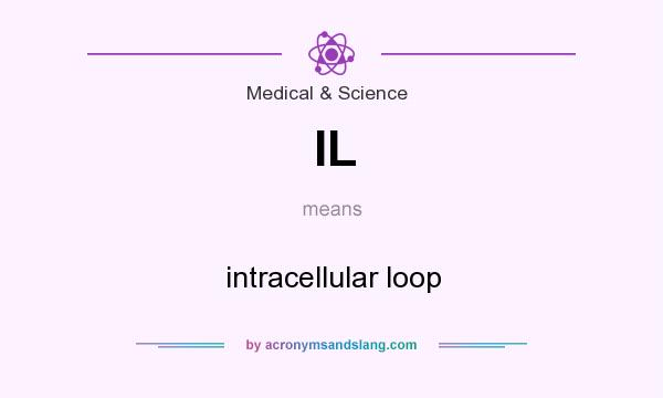 What does IL mean? It stands for intracellular loop