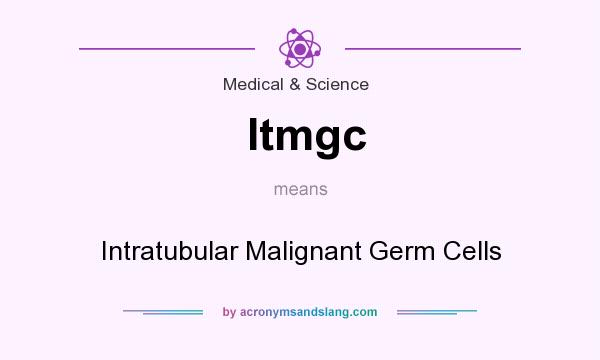What does Itmgc mean? It stands for Intratubular Malignant Germ Cells