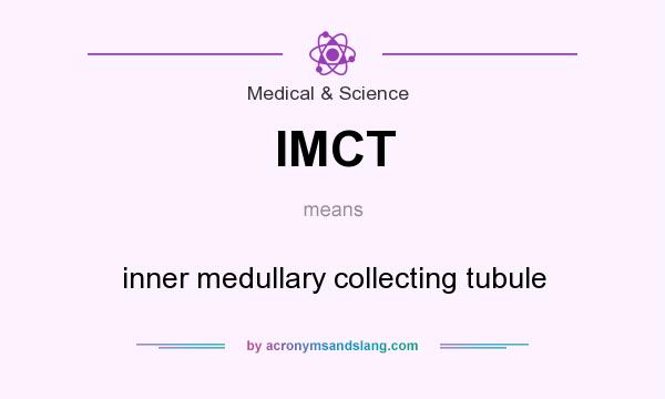 What does IMCT mean? It stands for inner medullary collecting tubule