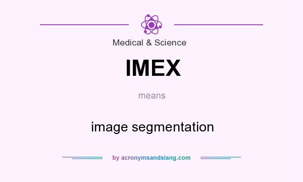 What does IMEX mean? It stands for image segmentation