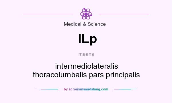 What does ILp mean? It stands for intermediolateralis thoracolumbalis pars principalis