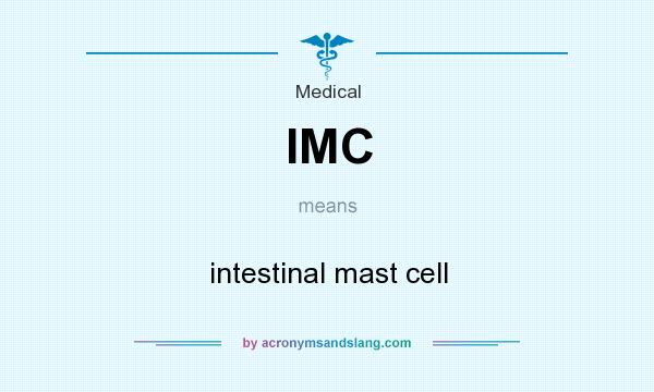 What does IMC mean? It stands for intestinal mast cell