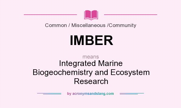 What does IMBER mean? It stands for Integrated Marine Biogeochemistry and Ecosystem Research