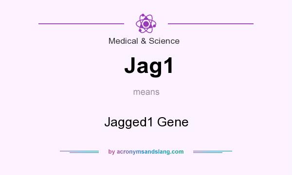 What does Jag1 mean? It stands for Jagged1 Gene