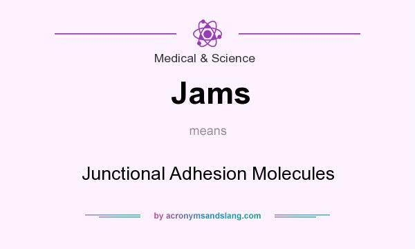 What does Jams mean? It stands for Junctional Adhesion Molecules