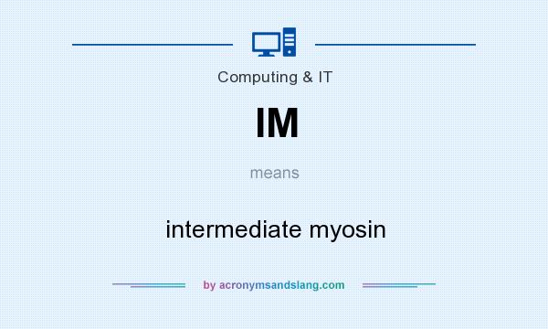 What does IM mean? It stands for intermediate myosin