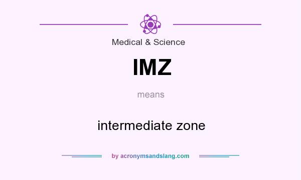 What does IMZ mean? It stands for intermediate zone