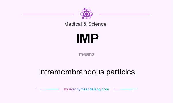 What does IMP mean? It stands for intramembraneous particles