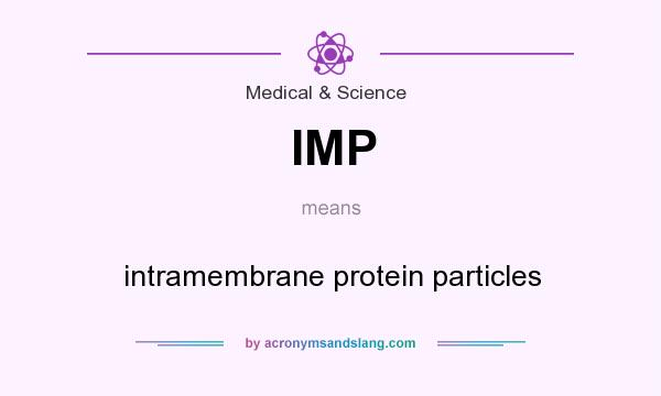 What does IMP mean? It stands for intramembrane protein particles