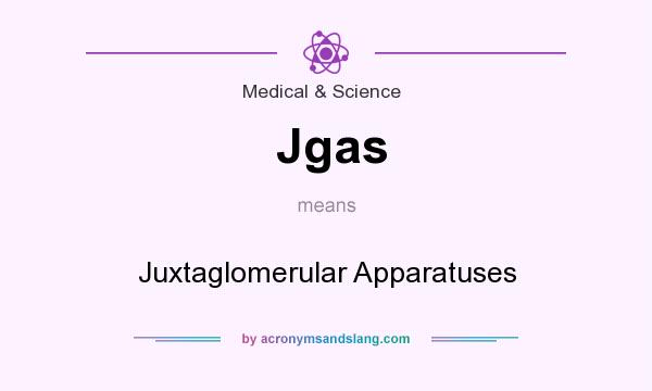 What does Jgas mean? It stands for Juxtaglomerular Apparatuses