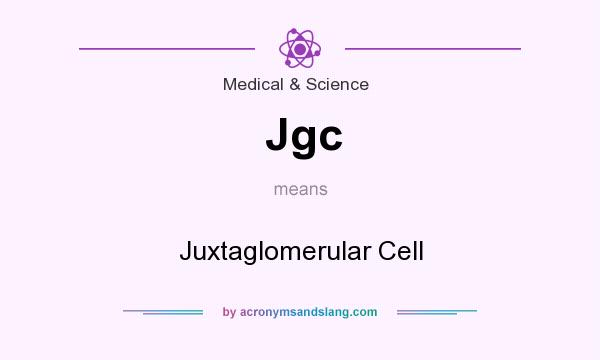 What does Jgc mean? It stands for Juxtaglomerular Cell