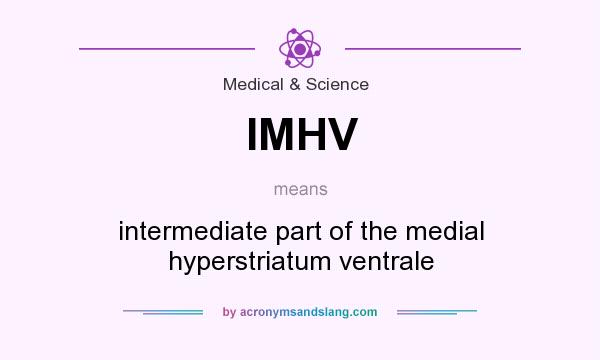 What does IMHV mean? It stands for intermediate part of the medial hyperstriatum ventrale
