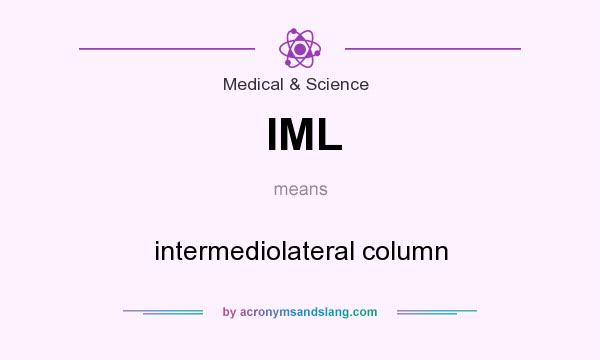 What does IML mean? It stands for intermediolateral column