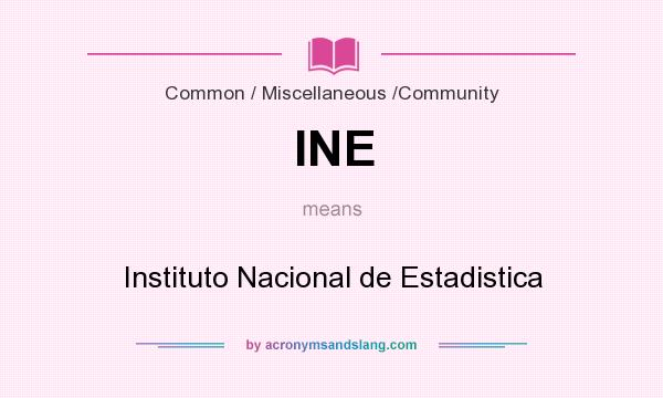 What does INE mean? It stands for Instituto Nacional de Estadistica