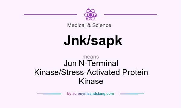 What does Jnk/sapk mean? It stands for Jun N-Terminal Kinase/Stress-Activated Protein Kinase