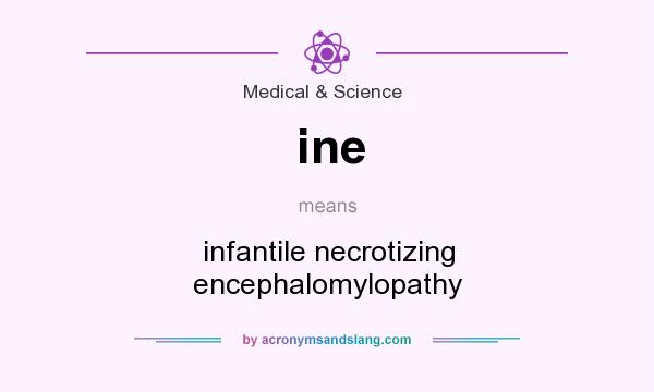 What does ine mean? It stands for infantile necrotizing encephalomylopathy