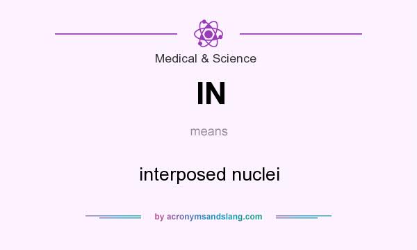 What does IN mean? It stands for interposed nuclei