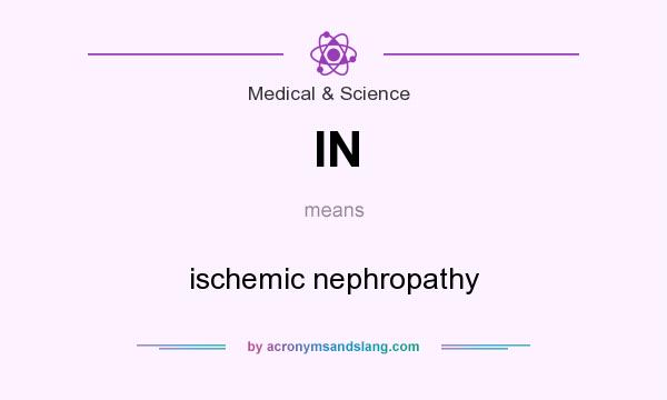 What does IN mean? It stands for ischemic nephropathy
