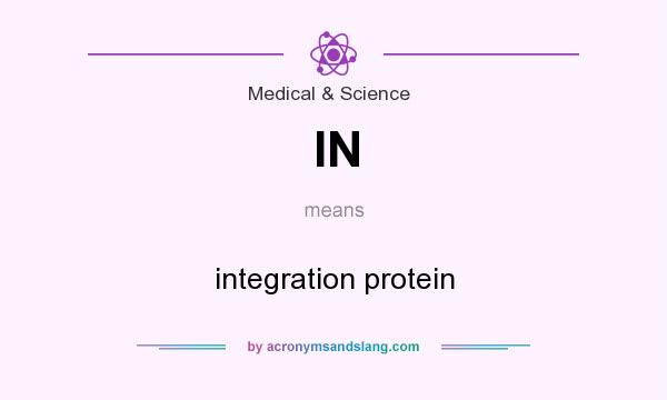 What does IN mean? It stands for integration protein