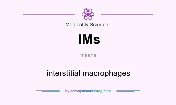 What does IMs mean? It stands for interstitial macrophages