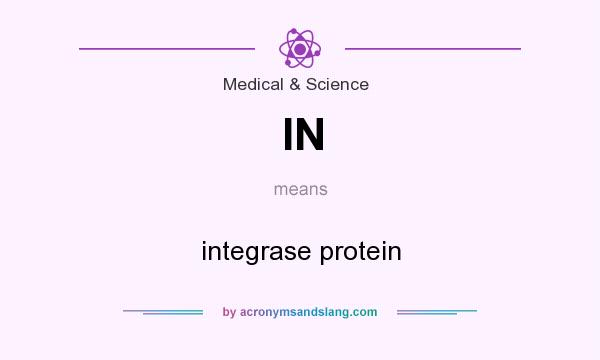 What does IN mean? It stands for integrase protein