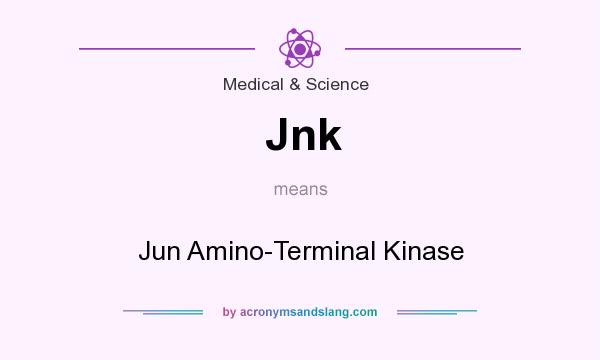 What does Jnk mean? It stands for Jun Amino-Terminal Kinase