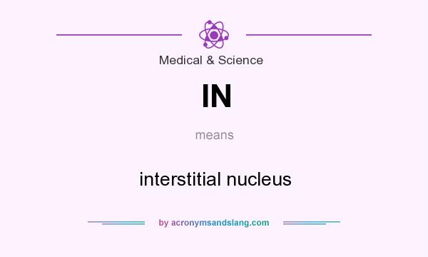 What does IN mean? It stands for interstitial nucleus