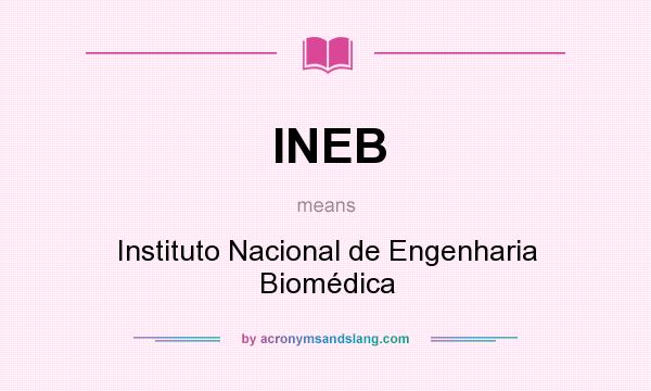 What does INEB mean? It stands for Instituto Nacional de Engenharia Biomédica