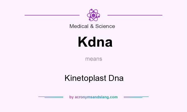 What does Kdna mean? It stands for Kinetoplast Dna