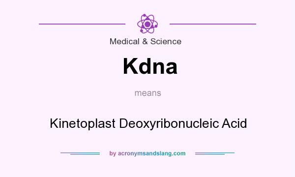 What does Kdna mean? It stands for Kinetoplast Deoxyribonucleic Acid