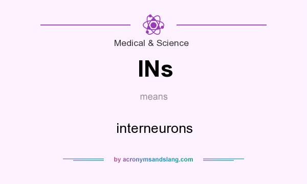 What does INs mean? It stands for interneurons