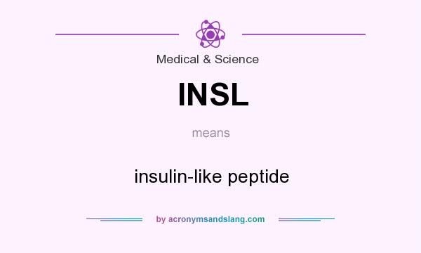 What does INSL mean? It stands for insulin-like peptide