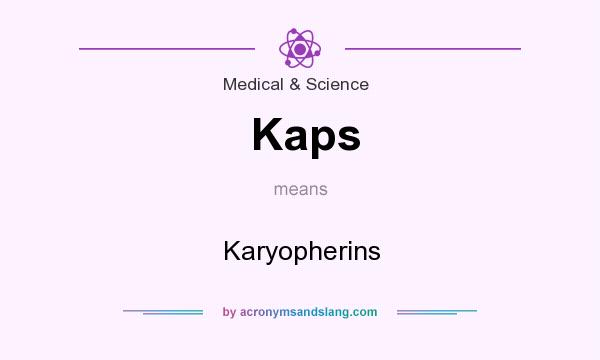 What does Kaps mean? It stands for Karyopherins