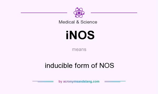 What does iNOS mean? It stands for inducible form of NOS