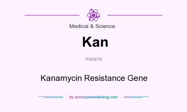 What does Kan mean? It stands for Kanamycin Resistance Gene