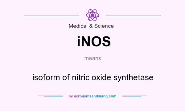 What does iNOS mean? It stands for isoform of nitric oxide synthetase