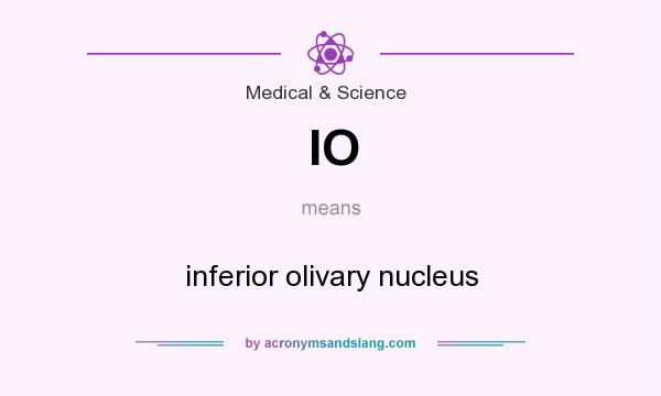 What does IO mean? It stands for inferior olivary nucleus