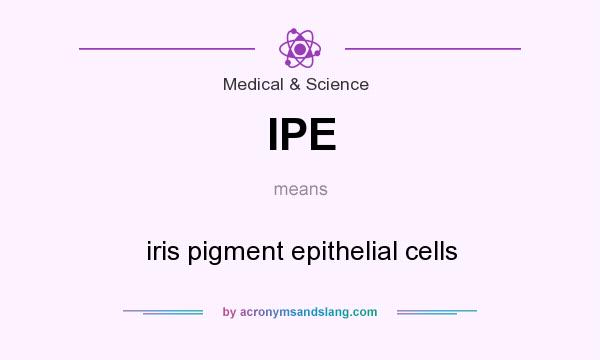 What does IPE mean? It stands for iris pigment epithelial cells