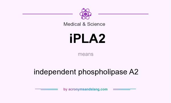 What does iPLA2 mean? It stands for independent phospholipase A2