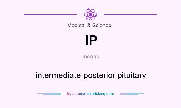 What does IP mean? It stands for intermediate-posterior pituitary