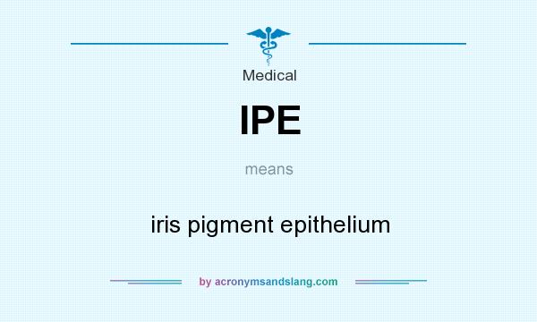 What does IPE mean? It stands for iris pigment epithelium