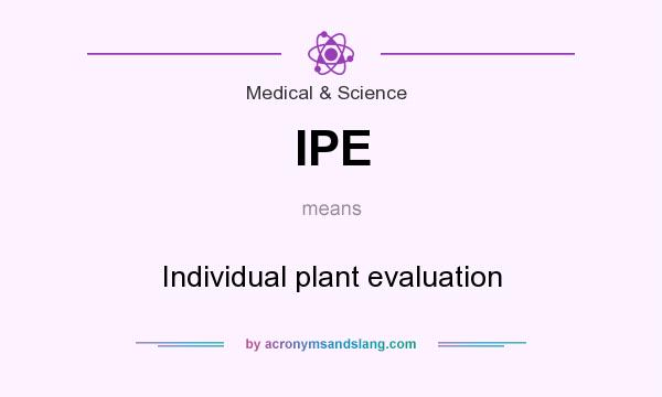 What does IPE mean? It stands for Individual plant evaluation