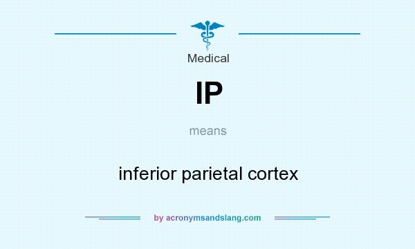 What does IP mean? It stands for inferior parietal cortex
