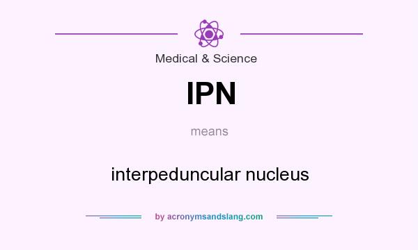 What does IPN mean? It stands for interpeduncular nucleus