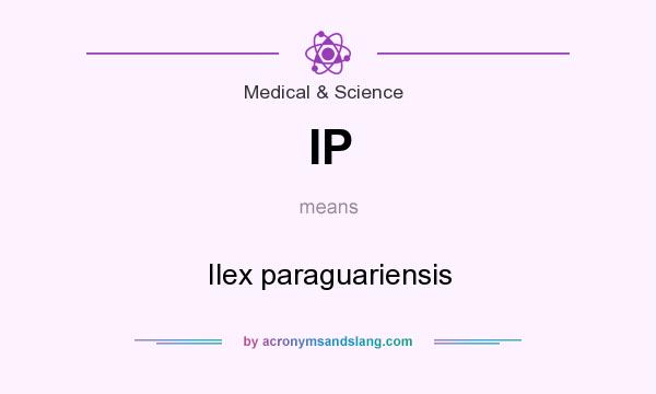 What does IP mean? It stands for Ilex paraguariensis