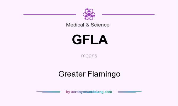 What does GFLA mean? It stands for Greater Flamingo