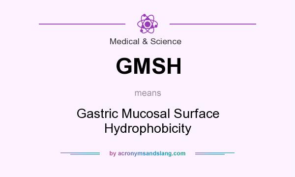 What does GMSH mean? It stands for Gastric Mucosal Surface Hydrophobicity
