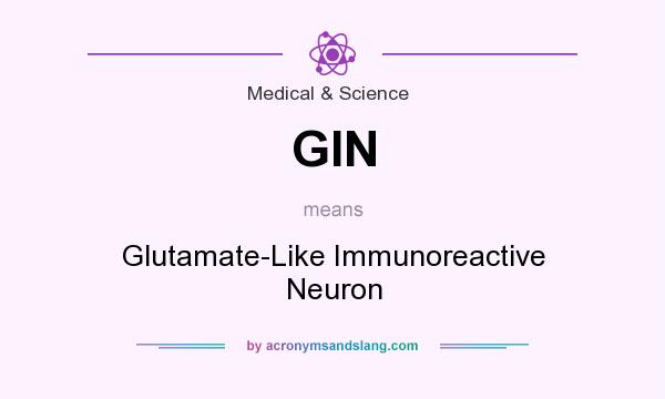What does GIN mean? It stands for Glutamate-Like Immunoreactive Neuron